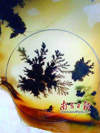 黄龙玉水草花，肖养杰藏