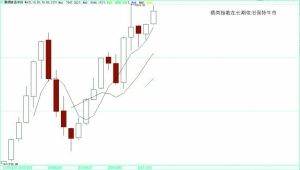 在指数动荡大跌的情况下，酒类指数保持长期牛市。酿酒食品类指数季线图显示该板块进入长期牛市。