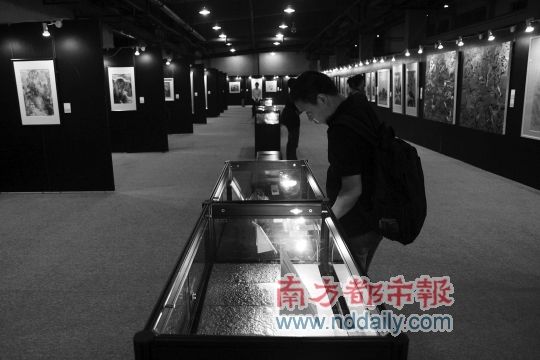 观众现场观看展览。实习生李坤南都记者叶志文摄