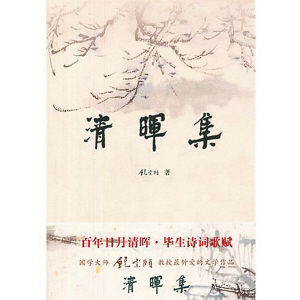 海天出版社去年推出了饶宗颐的《清晖集》(上图)和《饶宗颐书画册页丛刊》。（资料图片）