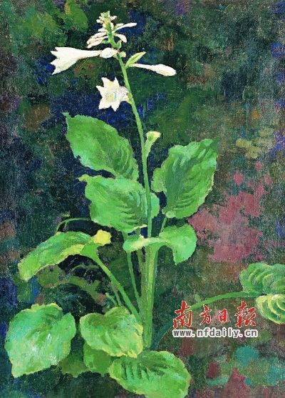 玉簪花（油画）。