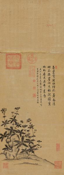 乾隆《金莲花》